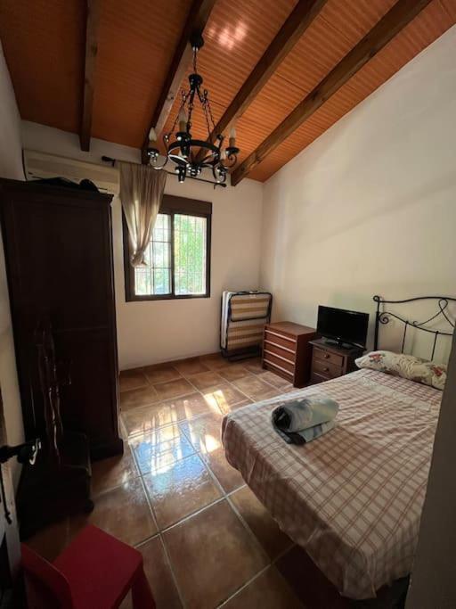 Farmhouse Surrounded By Centenary Olive Trees Olías Extérieur photo