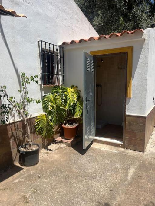 Farmhouse Surrounded By Centenary Olive Trees Olías Extérieur photo