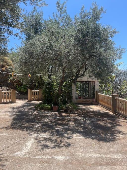 Farmhouse Surrounded By Centenary Olive Trees Olías Extérieur photo
